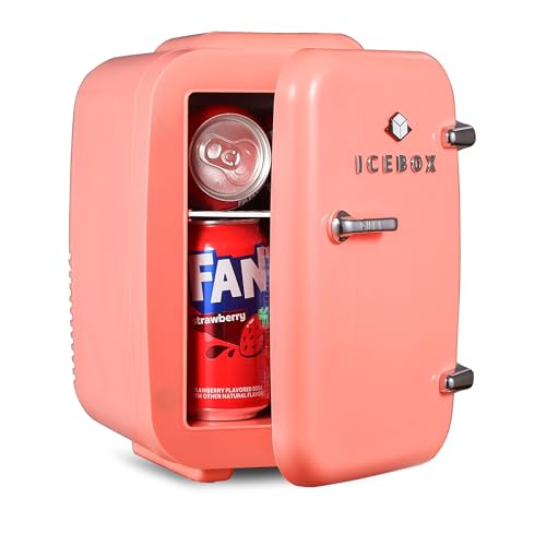 Mini refroidisseur de maquillage 4L pour votre chambre et bureau