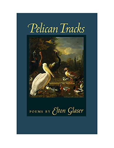 Pelican Tracks view 2