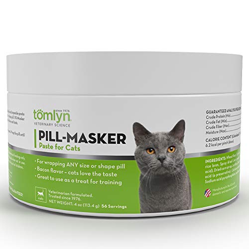 10 Best Pill Masker For Cats [Buying Guide 2022] • Sacred Car