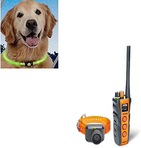 dogtra 2702