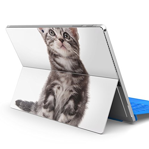 igsticker Surface pro7 (2019) pro6 pro2017 pro4 p XLV[ T[tFX m[gubN m[gp\R Jo[ P[X tB XebJ[ ANZT[ ی 001070 Aj} L AJV