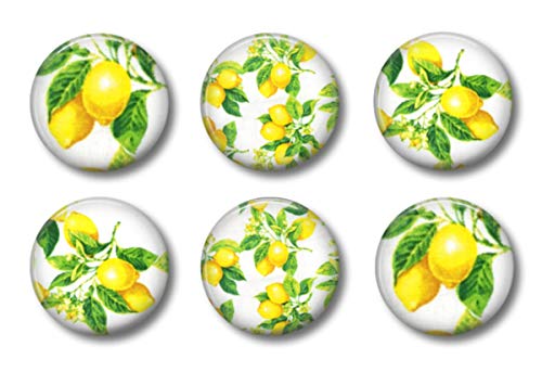 Modern Farmhouse Kitchen Decor Towel Set With Pot Holders Oven Mitt And Set Of 6 Refrigerator Magnets Modern Farmhouse Decor (Lovingly Lemon) #TOP1