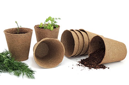 Daniel's Plants Biodegradable Seed Starter Pots (30 Pack) - Image 5