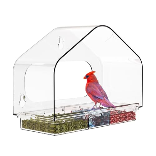 Mangeoire oiseaux pour fenêtre en acrylique premium avec vision claire - 2