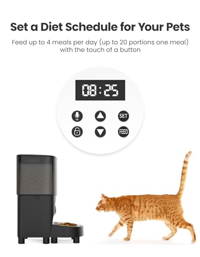Automatic-Cat-Feeders-Timed-Automatic-Cat-Food-Dispenser-4L-Programmable-Control-for-Dry-Food-with-Stainless-Steel-Bowl-Voice-Recorder-Elevated-Automatic-Cat-Feeder-Black