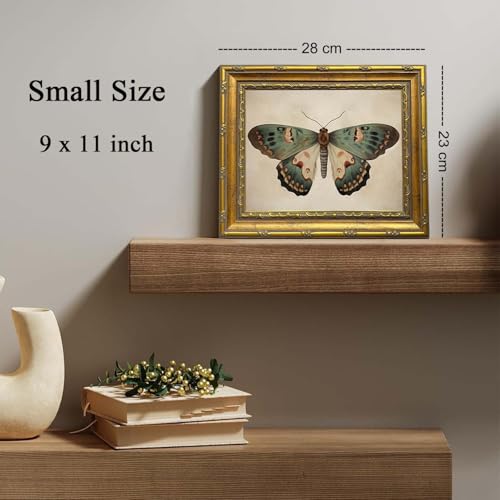 DR.RiftArt Vintage Moody Butterfly Wall Art Moth Decor Painting by DR.RiftArt - Used condition - Image 2