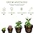 Adnee 4 Pack Wooden Whiskey Barrel Planters - 4 Sizes Wooden Bucket Barrel Garden Planters Set - Rustic Flower Planters Pots Container for Indoor Outdoor Garden Home Plants(4.7",6.1",7.1",9")