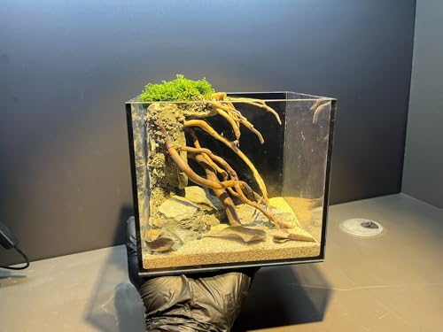 Image of AWXZOM Aquarium Driftwood Centerpiece Aquarium Landscape, Handcrafted Fish Tank hardscape Landscape (style2)