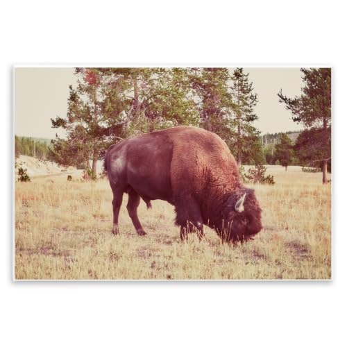 Wild Bison Rural Nature Scenery, 10 x 15 Inch Mounted Print on Wall Plaque