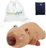 capybaraflying