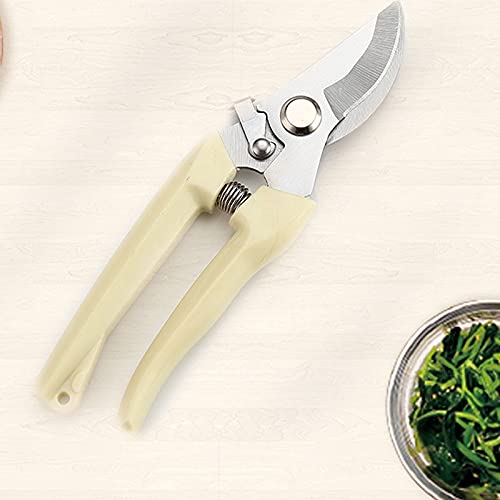 Forbici per insalata Forbici potenti, adatte per cucina, hotel, barbecue, molle eccellenti, uso a lungo termine (piccola A)