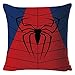 BZAHW Super-héros Iron Man, Captain America Superman Batman Housses de Coussin d'oreiller Linge taie d'oreiller à la Carte personnalisée (Color : BZ0563)
