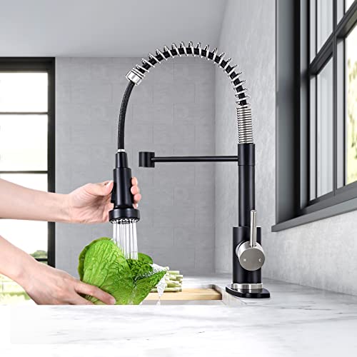 Hgn Kitchen Faucet With Pull Down Sprayer Single Handle Lever Spring Kitchen Sink Faucets #TOP4