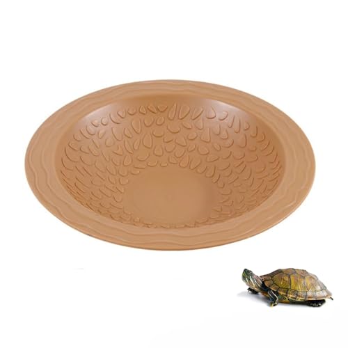 Flushbay Eh ঒  v[ ঒ aM  X[vt  I[ig  wr J qQhS gJQCp (uE-CG[)