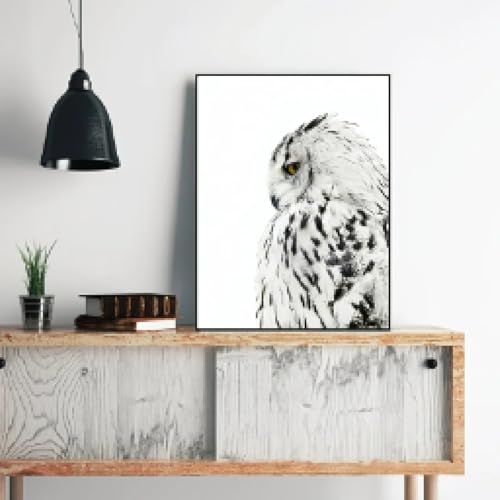 Tableau de rapace celebre toile murale hibou finition de qualite - 2