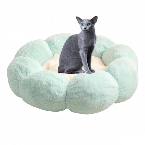 Lifetips VAu[L VA ӂӂybgxbh Lp 􂦂 ~ ~p NbV ʔNΉ ې􂢉 Lpxbh ~p ~ߒ 􂦂Jo[ ᔽNbV iACXO[j