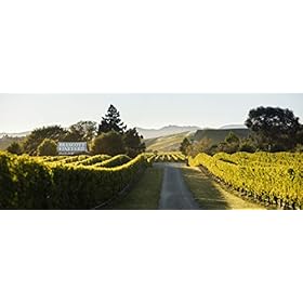 Brancott Estate Pinot Grigio White Wine, 75cl (Pack of 6) – Brancott Estate