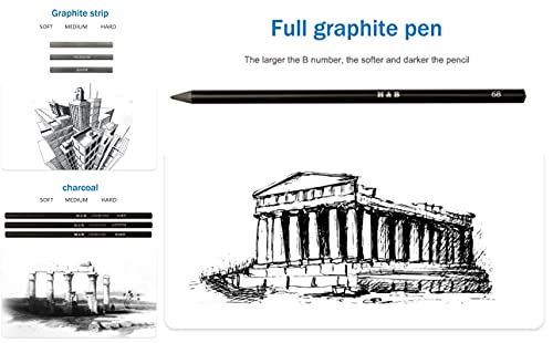 ToneGrip Conjunto de lápis de desenho e esboço com 41 peças, kit profissional de lápis de cor, grafi