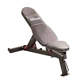 Kettler Vario Bench | Banco de pesas | 6 posiciones de entrenamiento | 2 posiciones de asiento | Ajustable individualmente, compacto, portátil