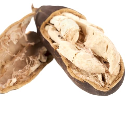 Kovafood Baobab Fruit Powder From West Africa I Gluten Free I Non-GMO I Nutrition Boost - 12 oz - Image 3