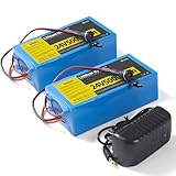 2 Pack 24V 5Ah Lithium Battery with 29.4V 1A Charger, 24V Rechargeable Battery for Outdoor Toys and DIY Projects
