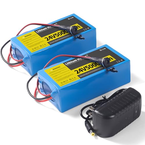 2 Pack 24V 5Ah Lithium Battery with 29.4V 1A Charger, 24V Rechargeable Battery for Outdoor Toys and DIY Projects