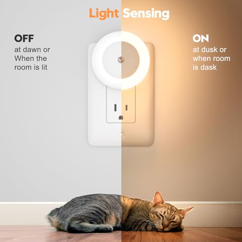 Image of fesnne Night Light, Night Lights Plug into Wall, Dusk to Dawn Sensor Warm White Led Night Light 0.5W, 2 Pack Nightlight for Adults, Bedroom, Bathroom, Hallway, Kitchen