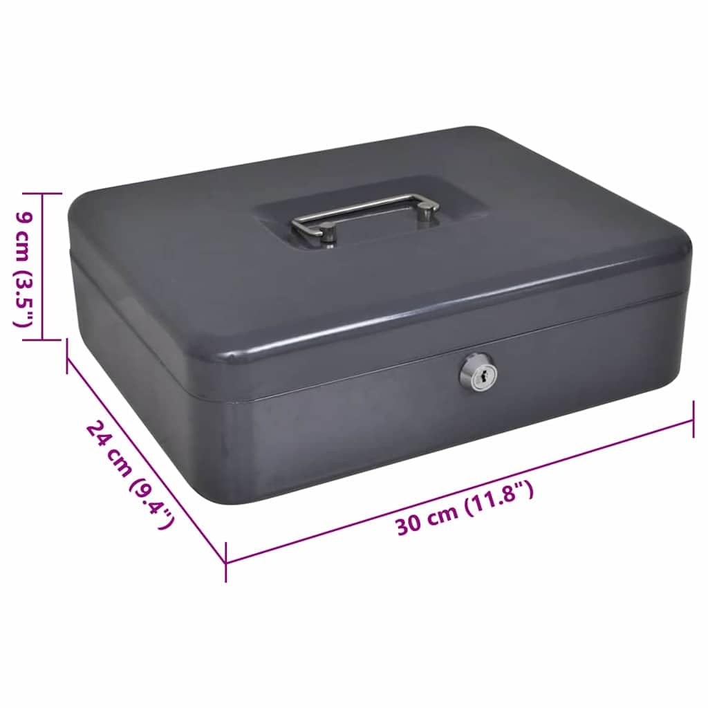 Cassetta portavalori con lucchetto, in acciaio, 30 x 24 x 9 cm, cassetta in metallo con serratura, per contanti, documenti e oggetti di valore, grigio scuro