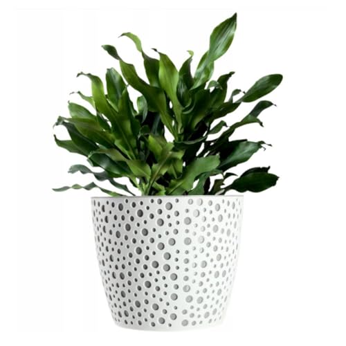 B2C Flowerpot plant pot planter Elza Plastic Crystal Modern Decorative Small Medium Large (13cm, Grey)