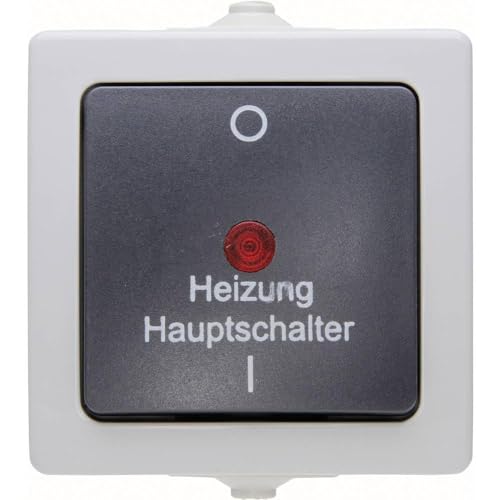Kopp 565356002 Heating Master Switch for Wall-Mounting/Damp Location/Illuminated/Nautical, Grey