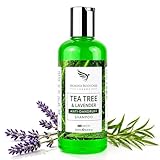 MOKSHA Shampoing anti pelliculaire à l’arbre à thé – shampoing cuir chevelu sensible, sec, gras et squameux –...