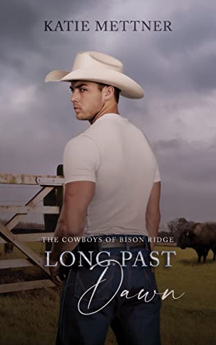 Long Past Dawn: A Cowboy Ranch Romance (The Cowboys of Bison Ridge Book 2)