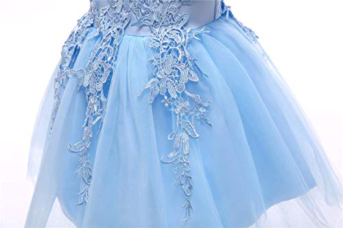 Weileenice Blue Little Girl Flower Lace Holiday Dresses Fancy Princess Pageant Prom Kids Ball Gown Plus Birthday Tulle Dress For Communion Party Wedding 2-3 Toddler Formal Evening Gowns Photo Shoot #TOP6