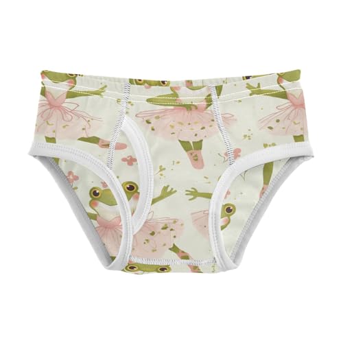 Wusikd Frog Ballerina Boys' Underwear Cotton Boys Briefs Soft Toddler Underwear 2T