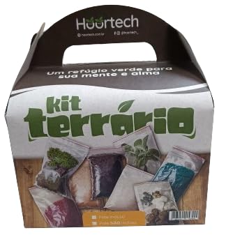 Hoortech Terrário mini jardim decoração sem vaso