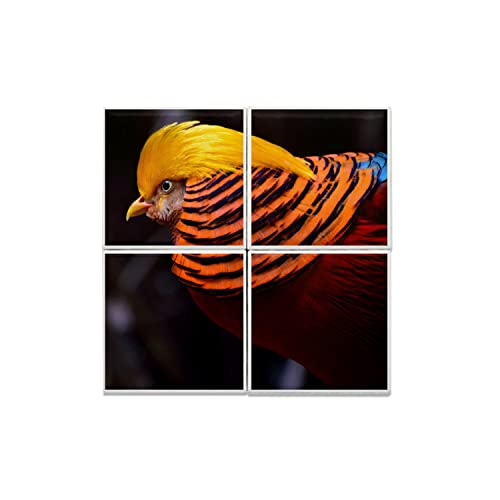 Carreaux céramique oiseau rare pour rénover un mur blanc décoration originale