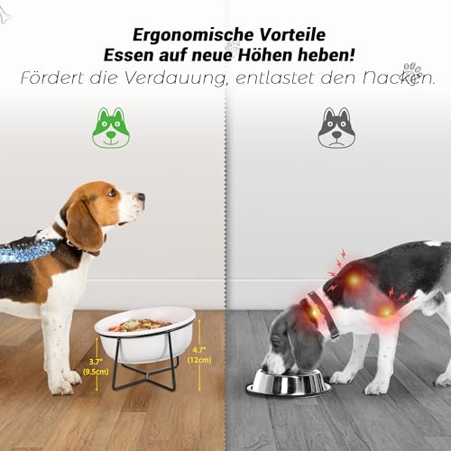 Hundenapf Keramik - Futternapf Hund Katzennapf - Futterstation Hund Katzen Erhöht mit Ständer - Fressnapf Wasser Futter Napf für Große Katzen und Mittelgroße Hunde - 850ml