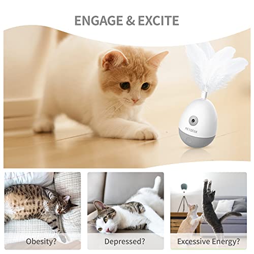 PETGEEK Interactive Cat Laser Pointer Toy with Bird Squeaky, Automatic Cat Wand Replacement, Cat Toys for Indoor Cats