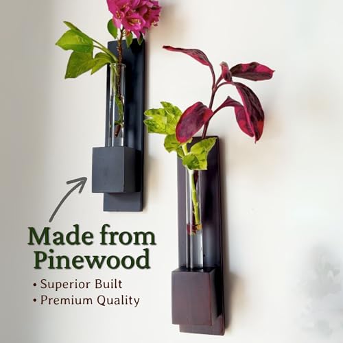 Image of Bombay Greens ; Sow, grow, eat, repeat Wall Planter|Wooden Plant Holder for Living Room|Eco Friendly Planter for Home Decor|Test Tube Planter for Office|Double Sided Tape Included (Set of 3)