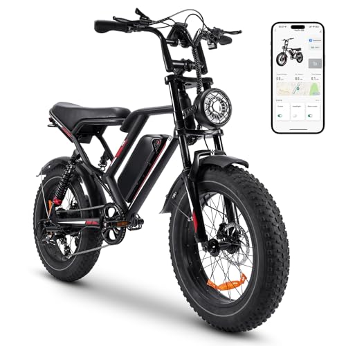 HiQiS Bicicleta Electrica Adultos, 20' × 4.0' Fat Tire, Batería de 48V 17.5Ah, Bici Electrica con LCD Pantalla, Ebike MTB 7 Velocidades, Doble Suspensión, Ebike Todo Terreno