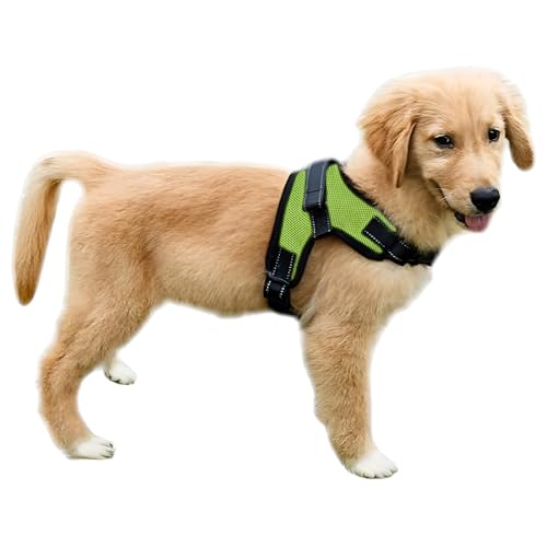 Copatchy No Pull Reflective Adjustable Dog Harness with Handle- Comfortable Soft All Weather Mesh, Easy On Puppy Harness for Small Medium and Large Dogs (Green) X-Small