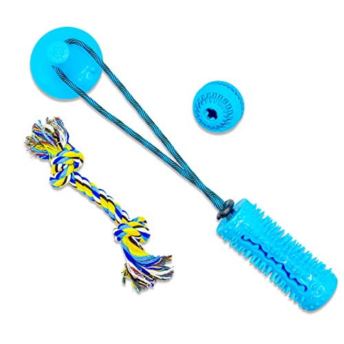 Set Giochi per Cani, da Masticare, Anti Stress