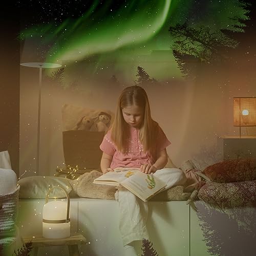 slide discs for orzorz star projector galaxy night light and pococo galaxy projector hd display slide for planetarium projector or constellation projector green aurora fba-ad-flp-ga