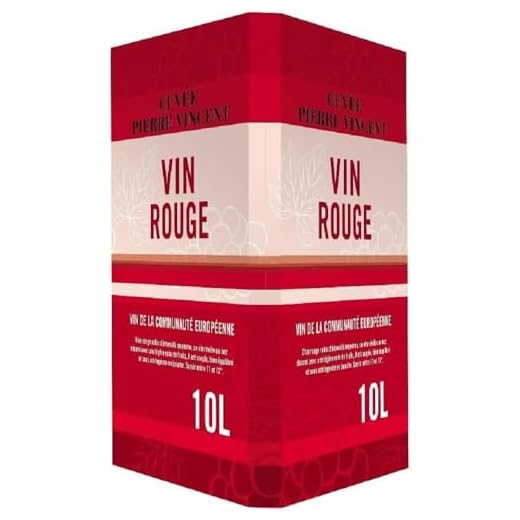 Pierre Vincent - Vin rouge rond et fruité, Bag-in-Box 10L BIB (1 x 10L)