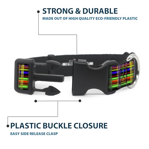 Collier écossais Buckle Down doté d'une pince en plastique légère et robuste