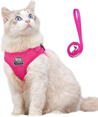 Soft Mesh Anti Pulling Kitty/Cat Harness and Lead Set for Walking, Escape Proof Fully Adjustable Cats Vest Harnesses and Leads with Handle for Small Animals Puppies/Cats (Small, Grey)