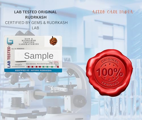 Image of 12 Mukhi Rudraksha Original Certified IGL Pendant 12 Face Natural Twelve Mukhi Rudraksha Original Nepal