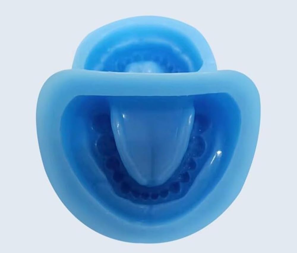 Set di 2 stampi for modelli in gesso dentale, base in gomma siliconica morbida, strumenti da laboratorio, denti interi