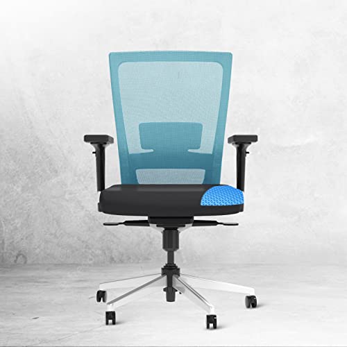 Image of The Sleep Company SmartGRID Stylux Ergo Mid-Back Home & Office Chair | Patented SmartGRID Technology | SpinePro Adjustable Cushioned Ergonomic Lumbar Support for Desk Chair | Enduring Design | Blue