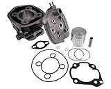 VANEZ 70cc Sportzylinder kompatibel mit MBK Nitro, Yamaha Aerox, Aprilia SR 50 mit Minarelli 2T LC Motoren, 47,6mm Bohrung
